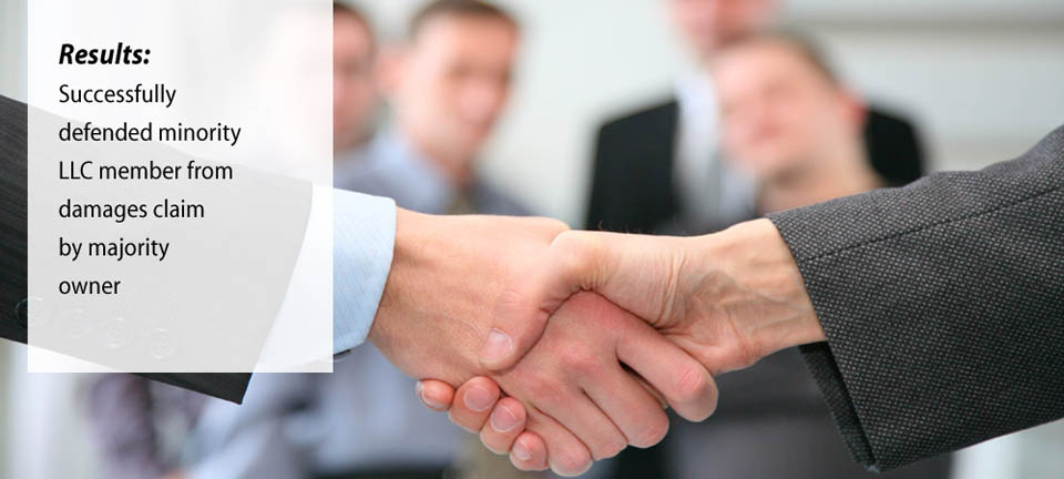 Successfully defended minority LLC partner from damages claim by majority owner
