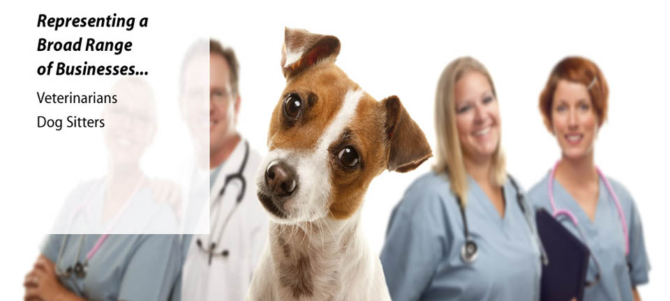 Law services for veterinarians